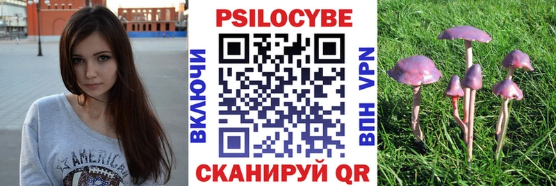 Галлюциногенные грибы Psilocybe  Черногорск 